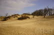 2014-0215-Wed-DSC00508 (Copy)