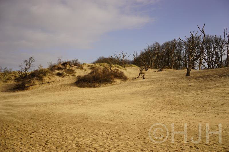 2014-0215-Wed-DSC00508 (Copy)