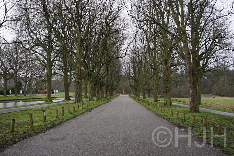 2014-0219-Groenendaal-DSC00517 (Copy)