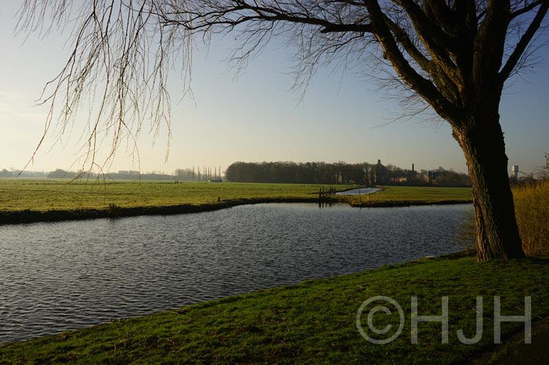 2014-0226-DSC00694 (Copy)