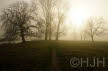 2014-0305-Groenendaal-DSC00830 (Copy)