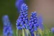 2014-0323-DSC01244 (Copy)