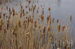 2014-0331-DSC01461 (Copy)