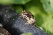 2014-0412-DSC01532 (Copy)