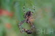 2015-0909-DSC03477-sel (Copy)