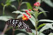 2015-1015-HongKong-DSC04359-sel (Copy)