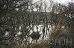 2015-1228-Duin en Kruidberg-DSC04414 (Copy)