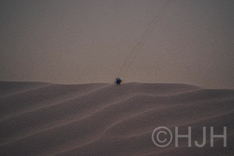 2016-0510-Marokko-DAG006 (9) (Copy)
