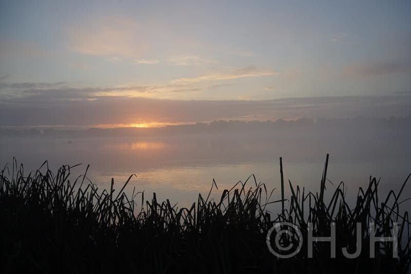 2016-1010-Molenplas-DSC07095 (Copy)