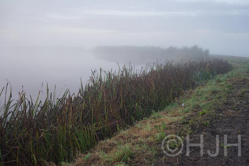 2016-1010-Molenplas-DSC07096 (Copy)