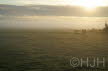 2016-1010-Schalkwijk-DSC07115 (Copy)