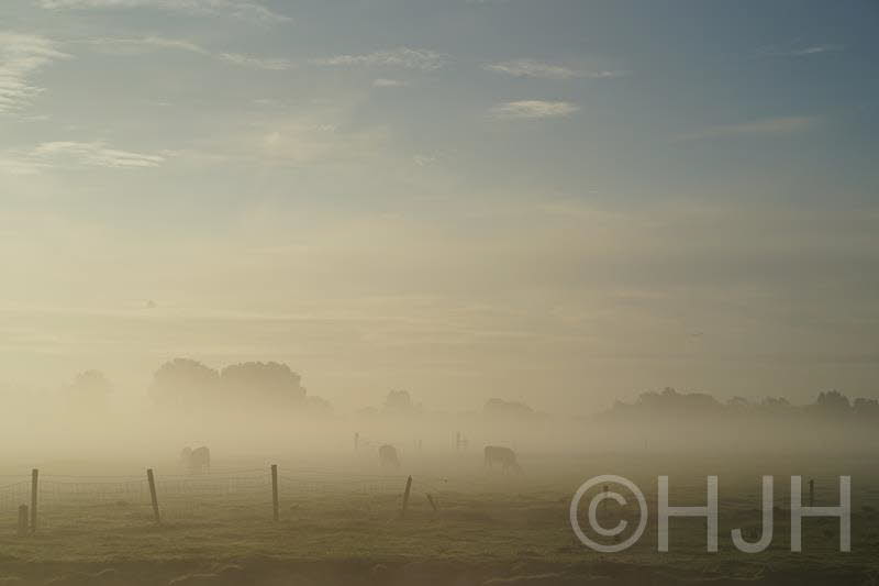 2016-1010-Schalkwijk-DSC07121 (Copy)