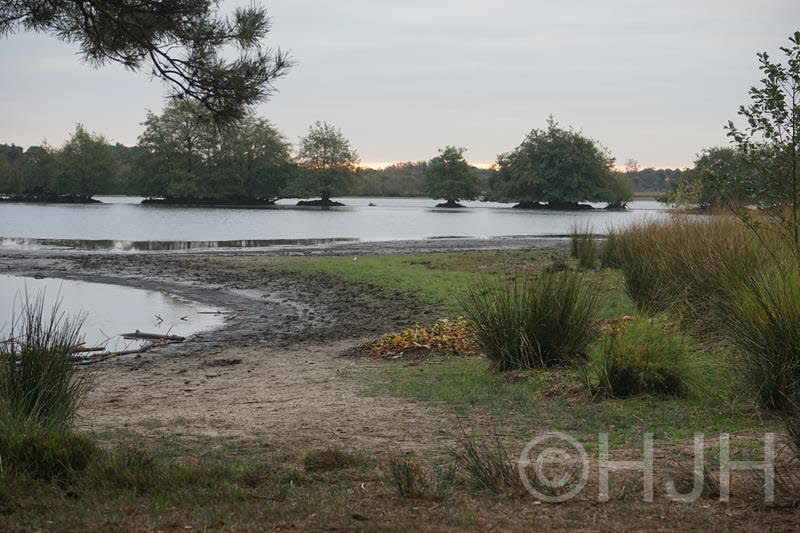 2016-1013-Diessen-DSC07185 (Copy)