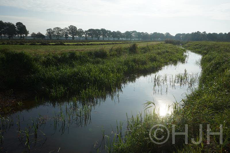 2016-1014-Rik-DSC07196 (Copy)