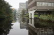 2016-1030-Schalkwijk-DSC07427 (Copy)