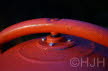 2016-1116-Rik-DSC07645 (Copy)