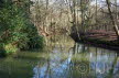 2018-0210-Elswout-DSC00362 (Copy)