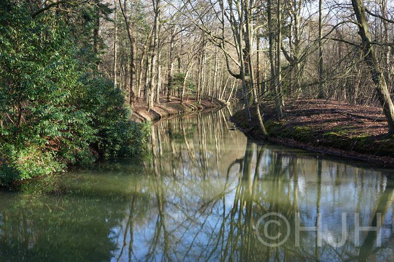 2018-0210-Elswout-DSC00362 (Copy)