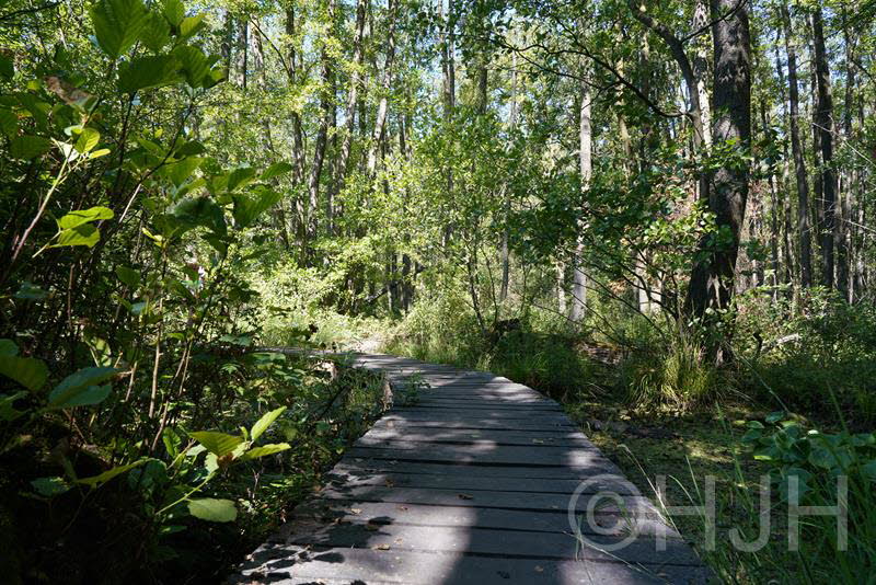 2018-0716-Lottum-DSC00599 (Copy)