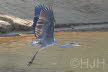 2018-1011-reiger-DSC02900 (Copy)
