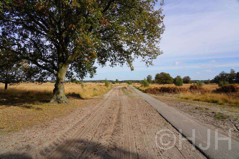 2018-1012-Brabant-DSC03020 (Copy)