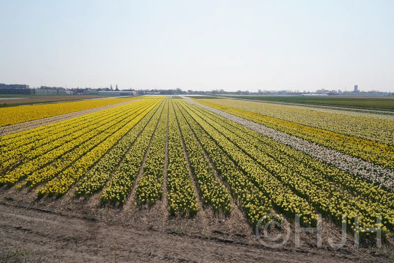 2019-0408-DSC04440 (Copy)