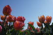 2019-0419-DSC04596-sel (Copy)
