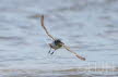2019-0511-oeverloper-DSC01699 (Copy)