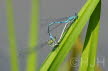 2019-0601-waterjuffer-DSC06769-sel (Copy)