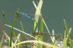 2019-0717-waterjuffer-DSC09331-sel (Copy)