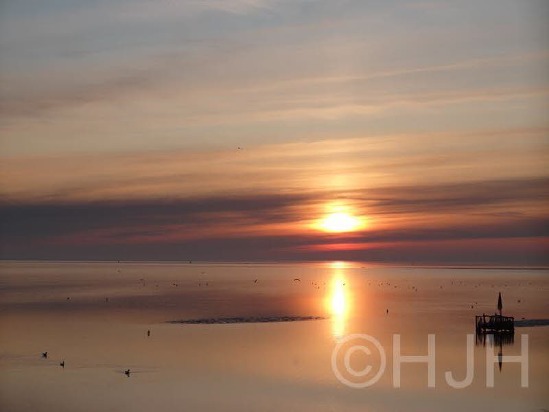 2019-1117-Ameland (Copy)