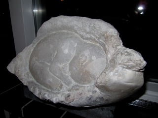 Liesbeth-B02